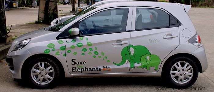 save elephants